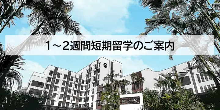学校別 情報一覧（6）